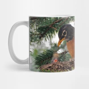 Momma American Robin In Her Nest Mug